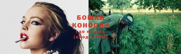спайс Баксан