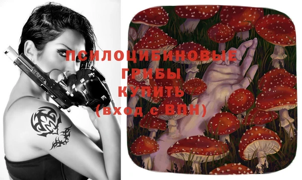 эйфоретик Балахна