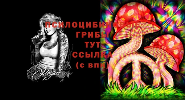спайс Баксан