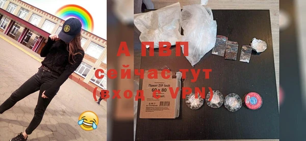 спайс Баксан